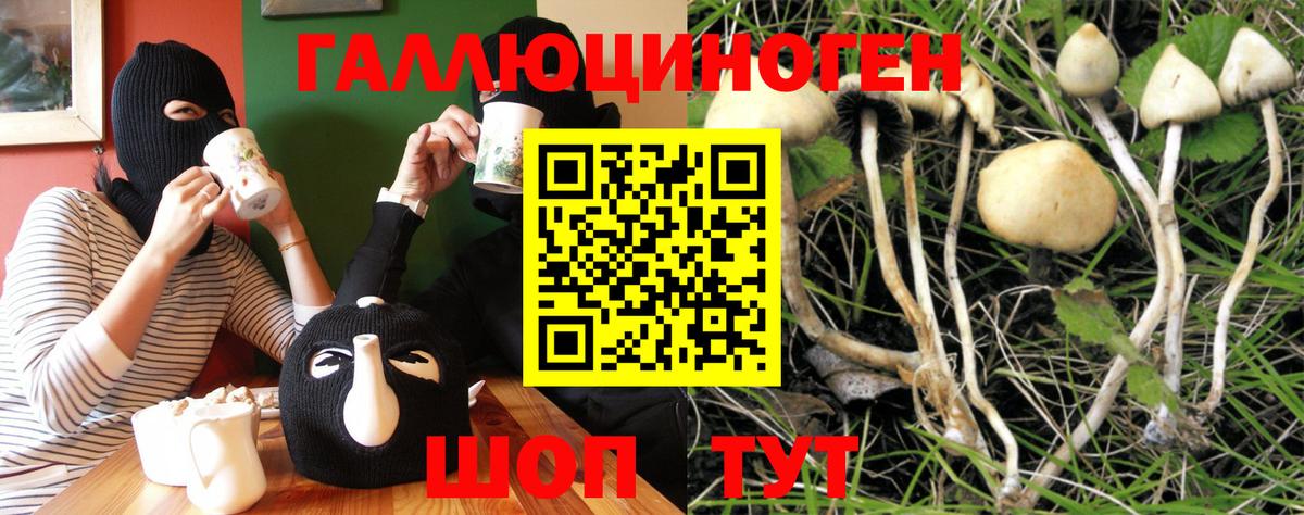 Галлюциногенные грибы GOLDEN TEACHER Киселёвск